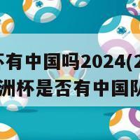 欧洲杯有中国吗2024(2029年欧洲杯是否有中国队参加)